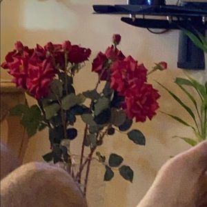 Meet your Posher, Sabir